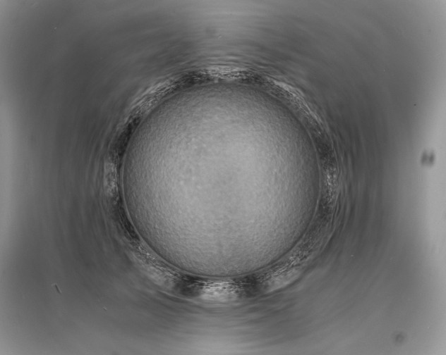 X0000096380705200801241237