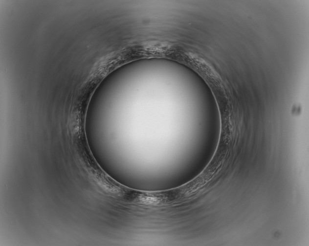 X0000096380706200801241237