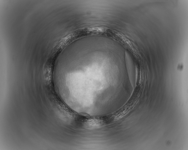 X0000096380708200801241237