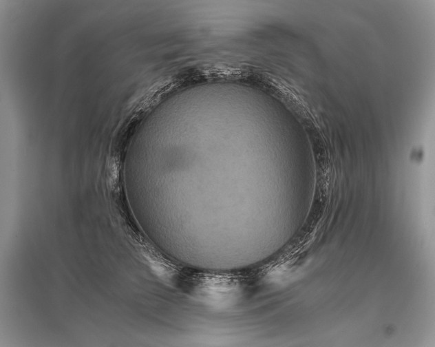 X0000096380709200801241237