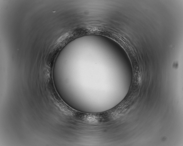 X0000096380710200801241237
