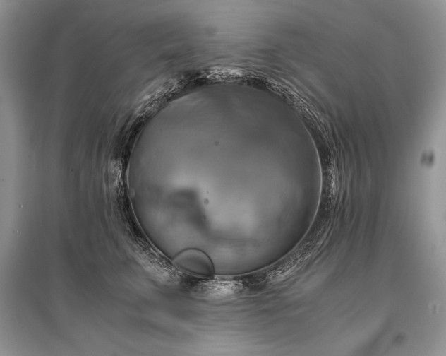 X0000096380711200801241237
