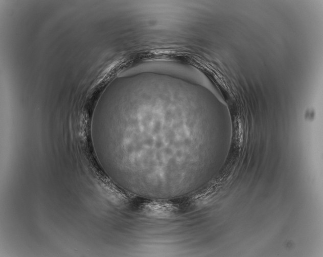X0000096380712200801241237