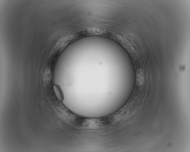 X0000096380713200801241237