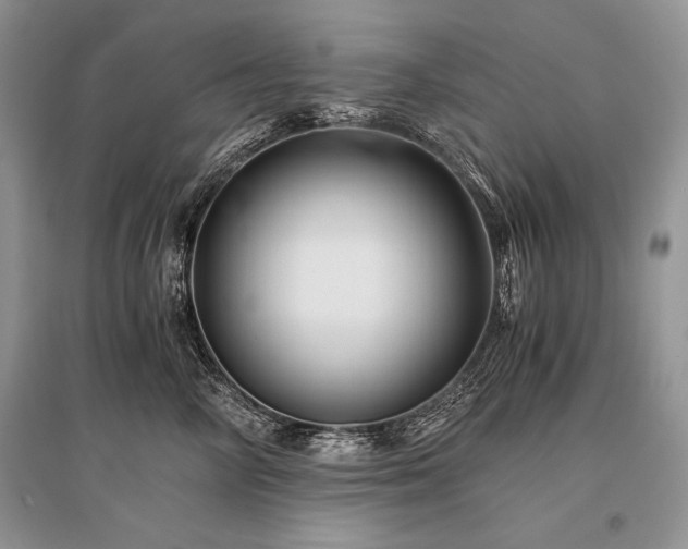 X0000096380714200801241237