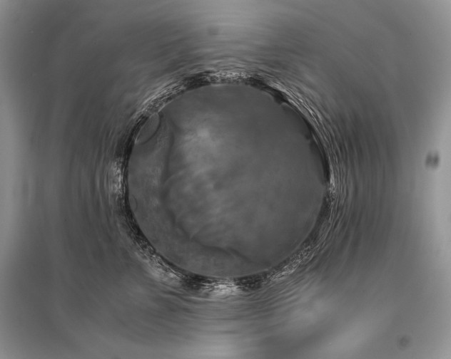 X0000096380715200801241237