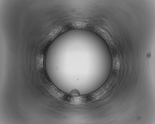 X0000096380717200801241237
