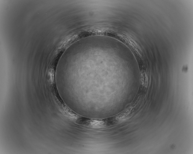 X0000096380718200801241237