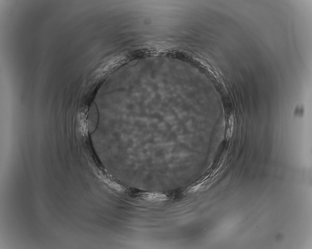 X0000096380719200801241237
