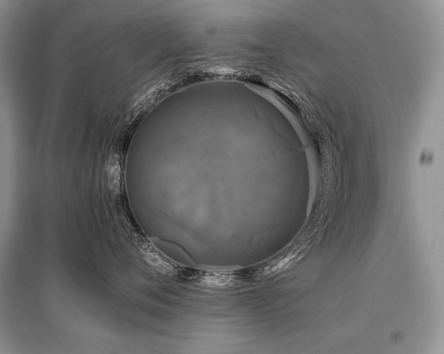 X0000096380720200801241237