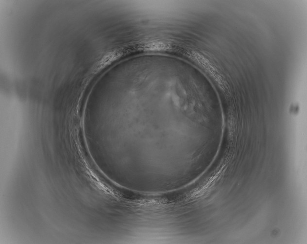 X0000096380721200801241236