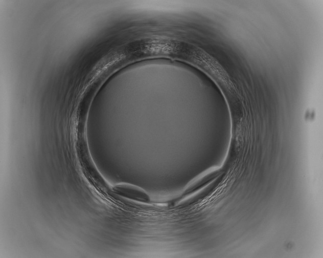 X0000096380722200801241236