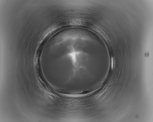 X0000096380723200801241236