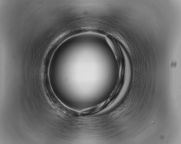 X0000096380724200801241236
