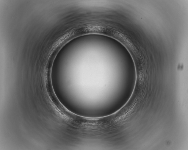 X0000096380725200801241236