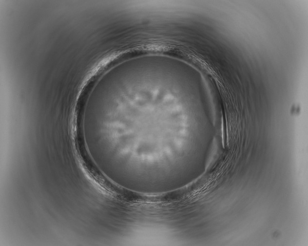 X0000096380726200801241236