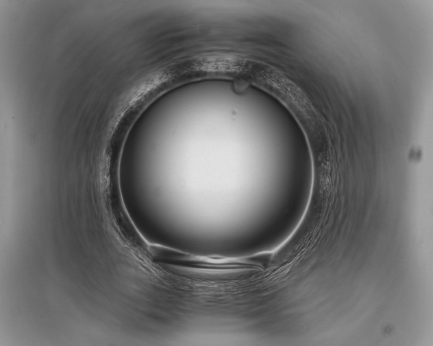 X0000096380727200801241236