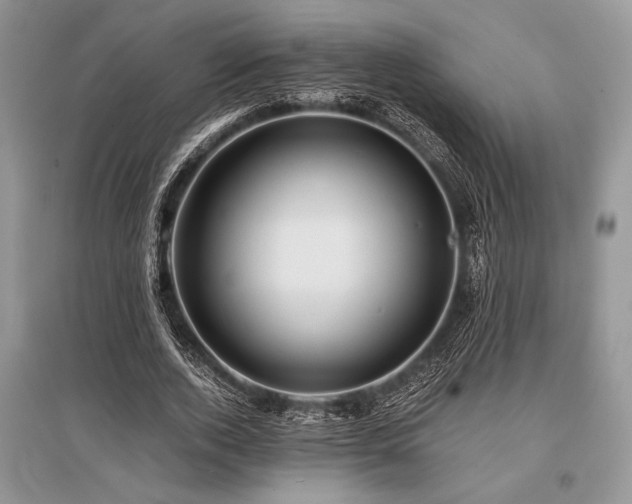 X0000096380728200801241236