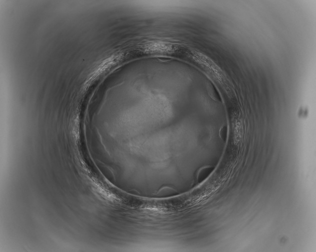 X0000096380729200801241236