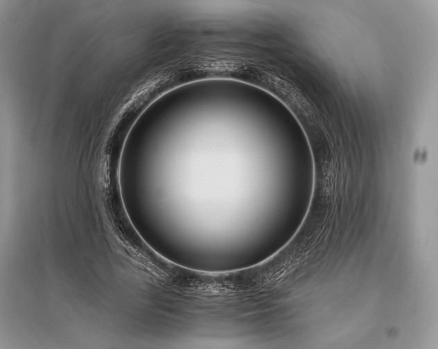 X0000096380731200801241236