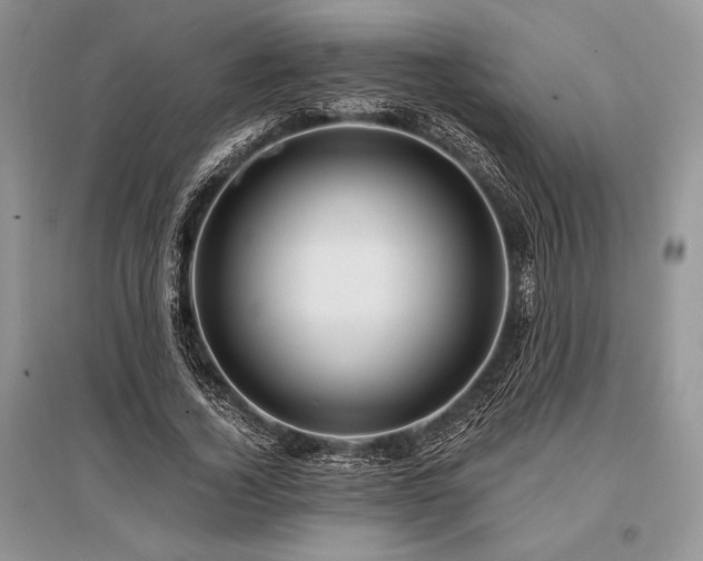 X0000096380732200801241236