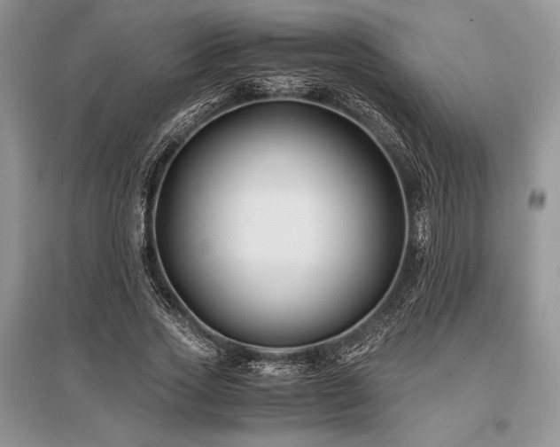 X0000096380733200801241236