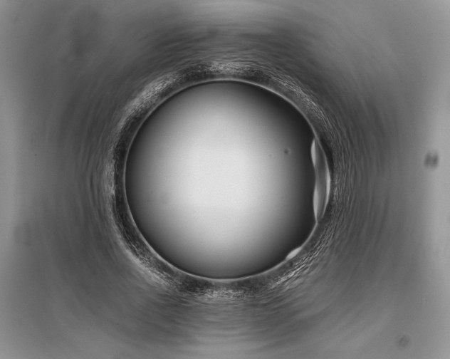 X0000096380734200801241236
