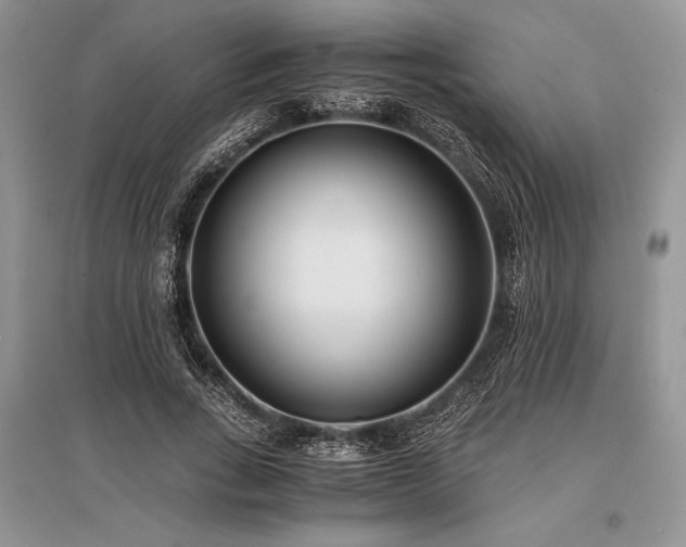 X0000096380735200801241236
