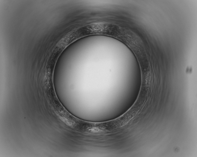 X0000096380737200801241236