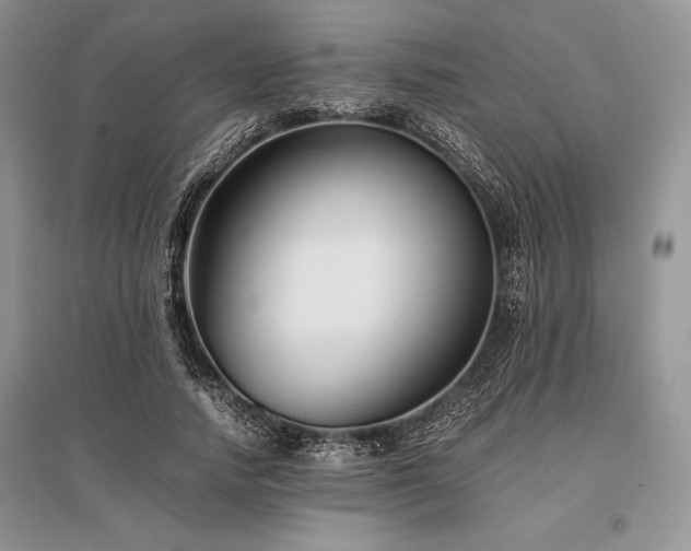 X0000096380738200801241236