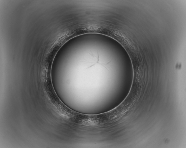 X0000096380739200801241236