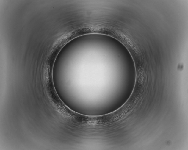 X0000096380740200801241236