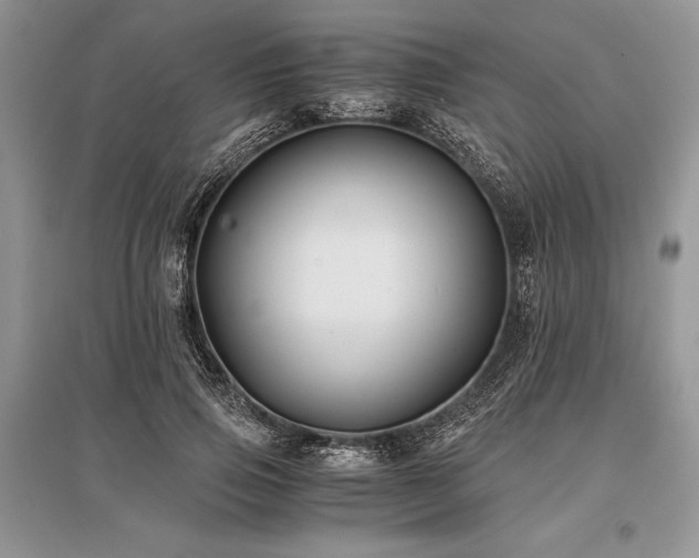 X0000096380741200801241236