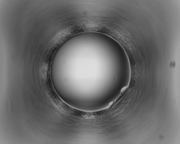 X0000096380742200801241236
