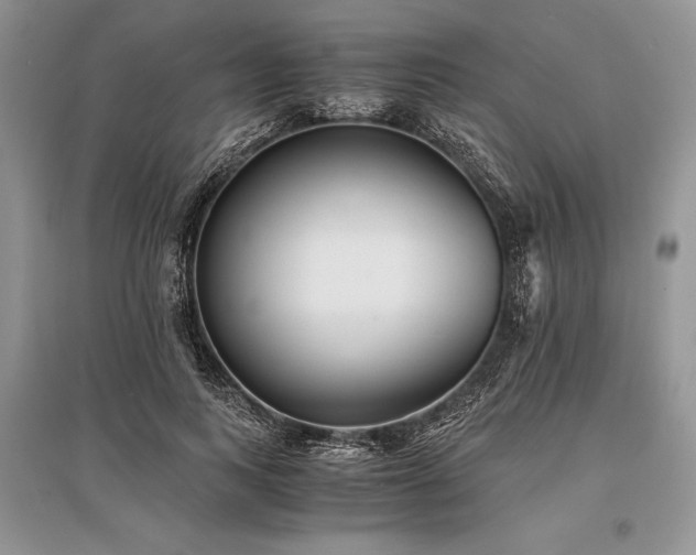 X0000096380743200801241236