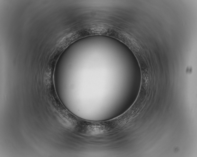 X0000096380745200801241236