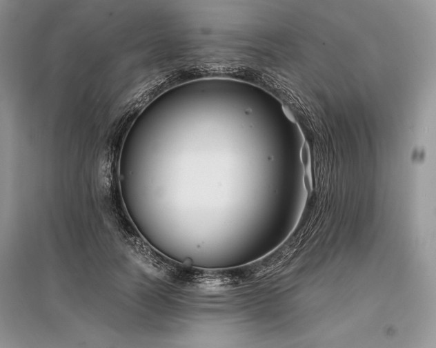 X0000096380746200801241236