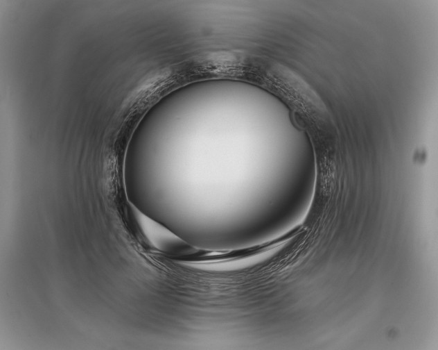 X0000096380748200801241236