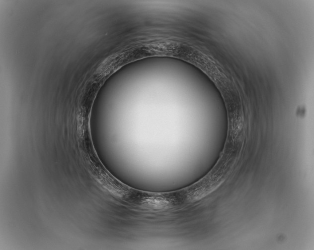 X0000096380749200801241236