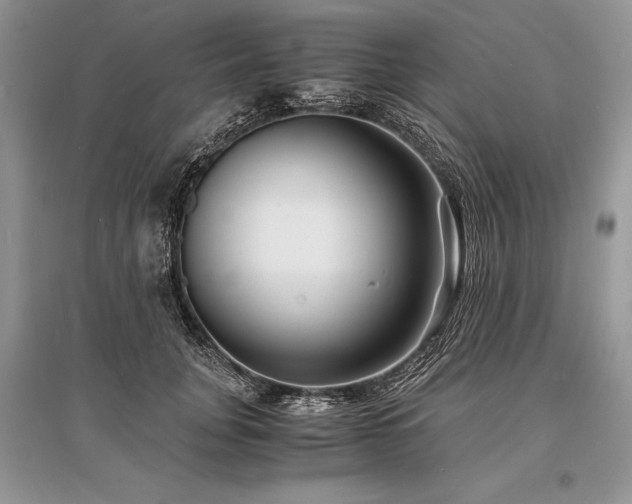 X0000096380751200801241236