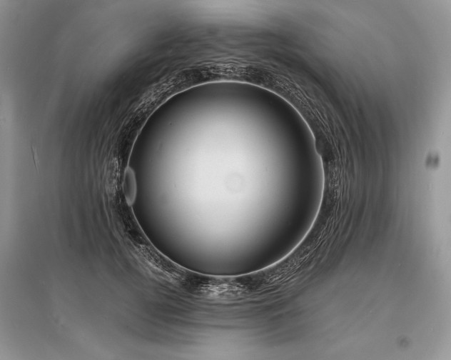 X0000096380752200801241236