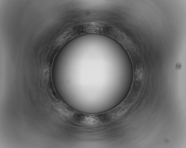 X0000096380753200801241236