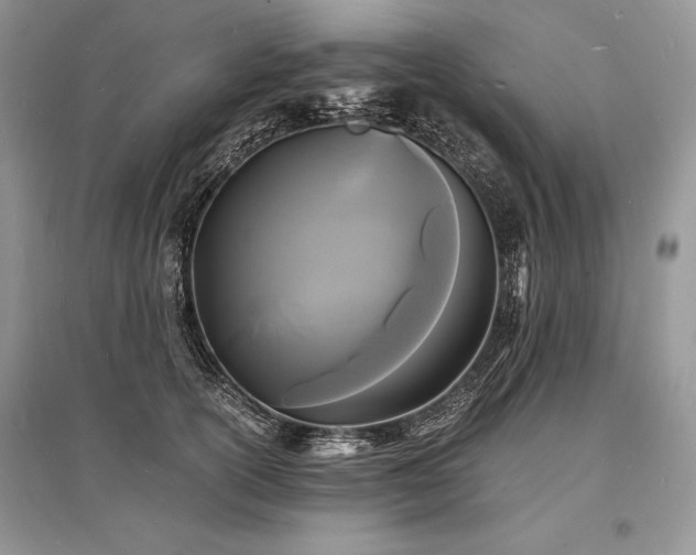 X0000096380754200801241236
