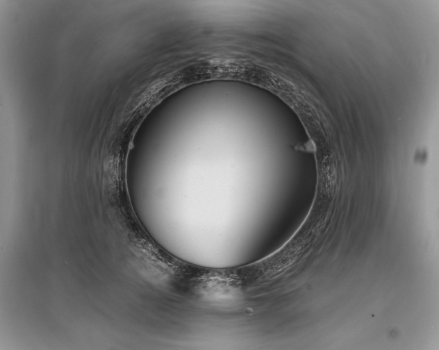X0000096380756200801241237
