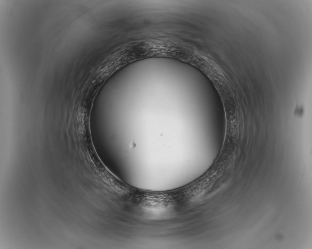 X0000096380757200801241237