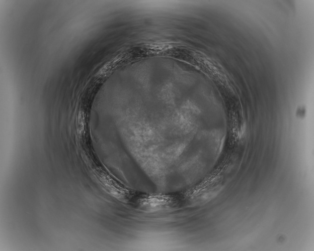 X0000096380758200801241237