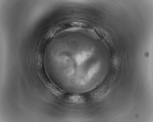 X0000096380759200801241237