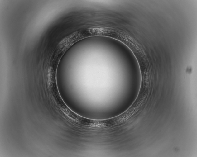 X0000096380760200801241237