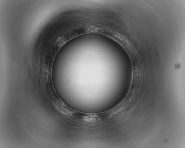 X0000096380761200801241237
