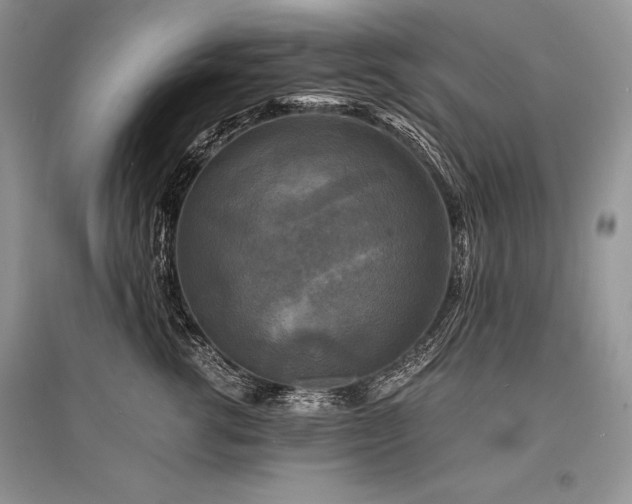 X0000096380762200801241237